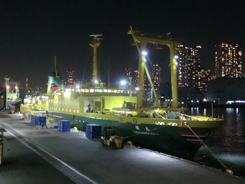 東京湾汽船　橘丸　乗船記念バックル　レア　　昭和10年 東京湾汽船 橘丸 乗船記念バックル レア 昭和10年 第51回 ～知っ