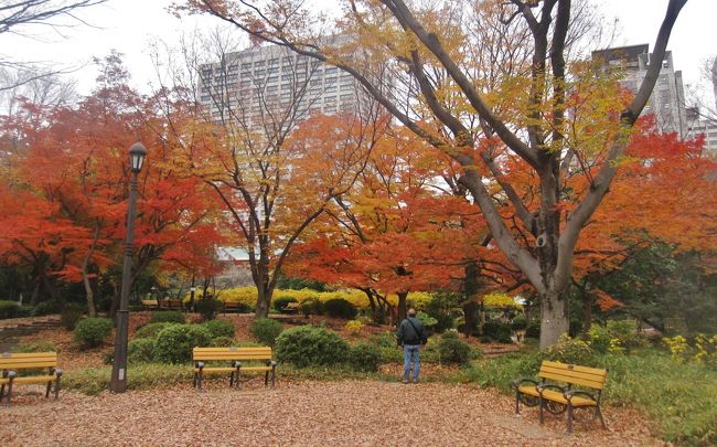 １２月の東京日比谷近くで<br />セミナーがあって出かけた<br />空いた時間に日比谷周辺を<br />散策した。東京にも紅葉が<br />あるんだとチョットびっくり<br />した映像です。