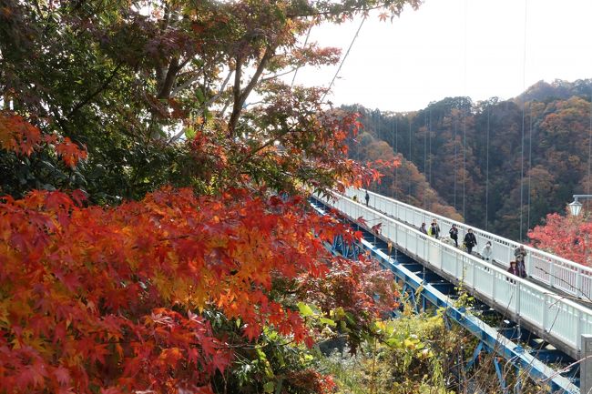 紅葉を求めて茨城県の3大紅葉を楽しみました。<br />まず千葉県の濃溝の滝(亀岩の洞窟)に立ち寄りました。濃溝の滝は清水渓流広場にあり最近SNSで話題になった場所です。その日は水戸に泊まり翌日茨城県常陸太田市にある竜神大吊橋の紅葉を愛でました。