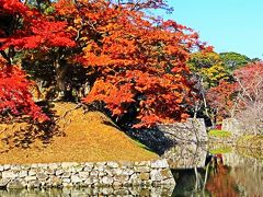 彦根-1　開国記念館‐大河ドラマに見る井伊家‐見学　☆彦根城あたり：自転車/ホテルで借用