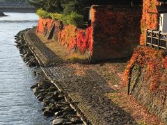 2017年秋｜新潟・山形の凸凹旅【７】-- 朝陽に映える紅葉のケヤキ並木と石畳に彩られた「山居倉庫」--