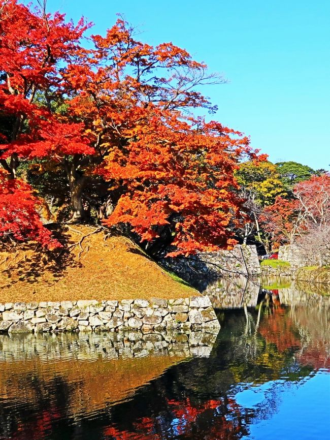 開国記念館<br />佐和口の桝形より右翼に伸びる長大な多聞櫓は、明治初年に解体されました。<br /> 現在の櫓は昭和35年に井伊直弼公の没後100年を記念する事業として復元されたコンクリート造りの建物です。以後、直弼を顕彰する展覧会などが継起的に催され、昭和59年には一部を改装し、「彦根市民ギャラリー」として使用してきましたが、平成14年には閉館となりました。 <br />その後、国宝・彦根城築城400年祭では「井伊家14代物語」会場として使用され、新たに展示施設としてオープンし現在に至ります。<br /> 今回の国宝・彦根城築城410年祭では、特別企画展示として、NHK大河ドラマ「おんな城主 直虎」に関連した展示を行います。 <br />「おんな城主 直虎」スペシャル企画<br />大河ドラマに見る井伊家 &#8212;「花の生涯」から「おんな城主 直虎」まで&#8212; <br />期間平成29年3月18日（土）&#12316;12月10日（日）<br />場所開国記念館 <br />（http://hikone-410th.com/castle/kaikoku　より引用）<br />