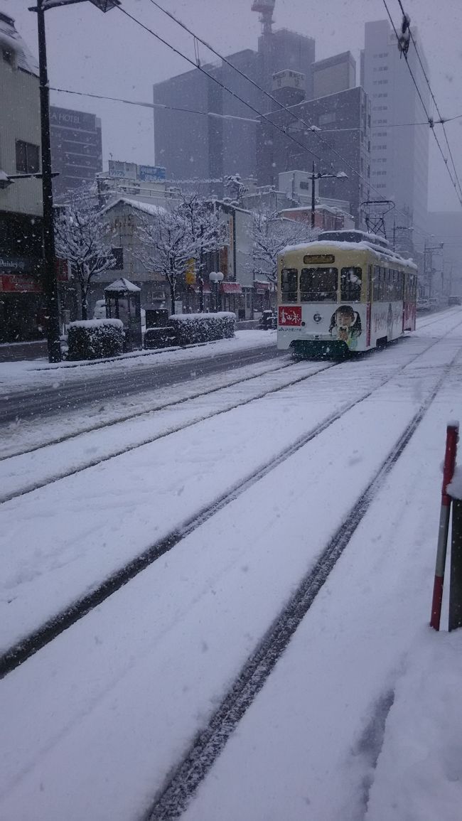 金沢一泊で帰るのはもったいない！せっかく来たんだからと２泊目は富山に。<br />富山って何があるの（富山の皆様すみません…）という無知な私…。<br />サクッとガイドブックを見たくらいの知識で，のんびり街巡りとなりました。<br /><br />ただし…ものすごい寒波のお陰で，一晩寝たら一面真っ白！！<br />残念ながら金沢では見られなかった雪景色を富山で見ることができました。<br /><br />美術館に行ったり，うわさの富山ブラックラーメンを食べたり，もちろん天然のいけすといわれている富山ですから，またまたお寿司もいただいて，楽しい北陸旅行となりました。