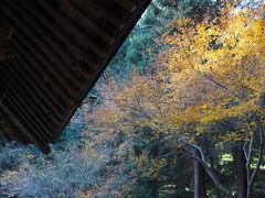 守山八幡宮　源頼朝が源氏再興を祈願し、平家打倒を目指して、挙兵した場所　