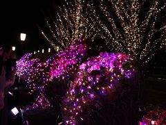 小さな旅　東京ミチテラス2017　Illumination of Flower Garden in Marunouchi Tokyo
