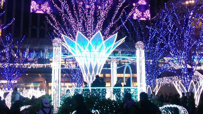 　ご覧戴きましてありがとうございます。<br />　2017年12月29日の金曜日現在、JR博多シティでは「光の街・博多」という名のイルミネーションが点灯されていました。<br />　2017年の場合、「in the LIGHT」というテーマのもと様々なイルミネーション飾りを見ることが出来ます。<br />　今回は2017年12月29日にJR博多シティのイルミネーションを中心に博多駅前のイルミネーションを観覧しましたが、その時の様子をご覧戴きます。<br />　なお今回は一部の写真を除きコメントの記載を割愛させて頂きますのでご了承の上よろしければご覧ください。<br />