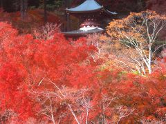 なぜか初めての箕面大滝と勝尾寺の紅葉を求めて2