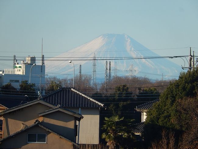 12月29日、午前8時頃にふじみ野市から素晴らしい富士山が見られました。<br /><br /><br /><br />*写真は午前8時頃に見られた富士山