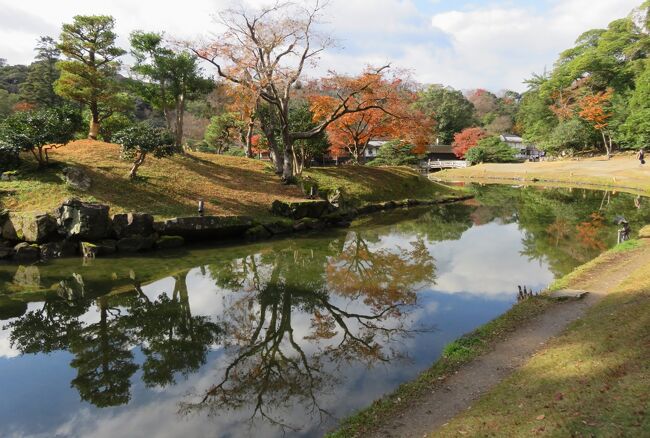滋賀と京都の名城巡りです。滋賀の彦根城紹介の締め括りは、国の名勝に指定されている大名庭園の『玄宮園』です。井伊直弼公が誕生したとされるかつての槻御殿、現在の『楽々園』の一部は修復工事中でした。