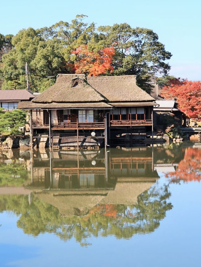 彦根-4　玄宮園（旧大名庭園/特別史跡）･紅葉のとき　☆池を巡って楽しむ変化