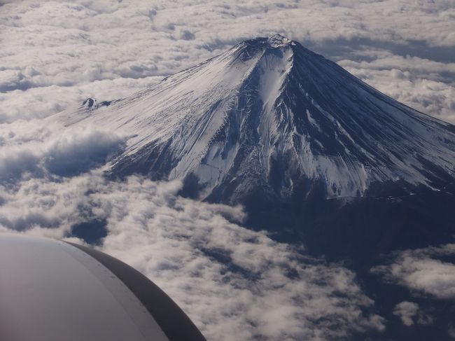 出張ついでに長崎観光です。<br />博多に行くのですが、出張前に土日で観光です。<br />あくまでプライベート旅行です。<br /><br />ちょうどJALダイナミックパッケージで「空行け！九州キャンペーン5,000円クーポン」をやっていたので5,000円引きになりました。<br />1泊4日34,650円→29,650円<br />【オプション含め通常62,200円相当→びっくりオプション32,150円】<br />・羽田→長崎（JAL）<br />・博多東急ＲＥＩホテル【期間限定】★2,000マイル付★食事なし<br />・福岡→羽田（JAL）<br />オプション<br />・レンタカー1泊2日1,000円（通常だと乗り捨て含め15,000円くらい？）<br />・「JALお得クーポン」100円×2（皿うどん1200円、ホテルデザート1,000円？）<br />・グルメチケット（Travel e-gift）100円×3（買い物2,000円分×3）<br />・博多 華味鳥 水炊き「華コース」1,000円（通常4,350円分）<br />