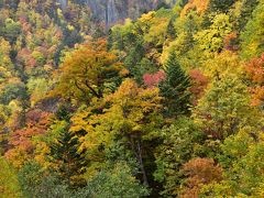 豊平峡の色鮮やかで美しい紅葉 2017（北海道定山渓）