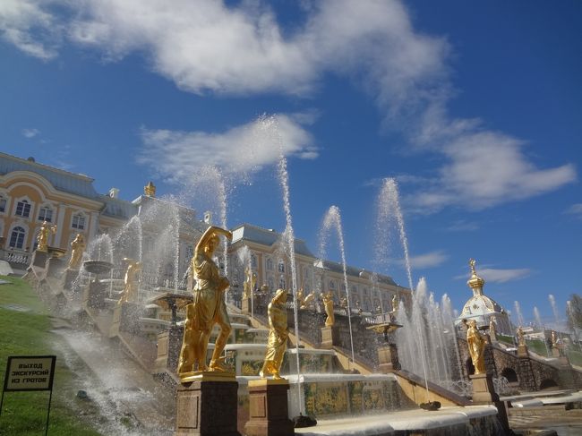 ５月になると噴水の通水が始まるピョートル大帝夏の宮殿と庭園。<br />今年は５月上旬まで寒かったから、もしかして見られないのかしらと心配していましたが、まったくの杞憂でした。<br />もともと水遊びが大好きなので、予想以上に楽しい時間を過ごせました。<br /><br />5/19 成田からモスクワへ。<br />5/20 赤の広場観光。セルギエフ・ポサード観光。スズダリ泊。<br />5/21 スズダリ観光。ウラジーミル観光。ヤロスラブリ泊。<br />5/22 ヤロスラブリ観光。モスクワから夜行列車乗車。車中泊。<br />5/23 キジ島観光。ペトロザヴォーツク泊。<br />5/24 ペトロザヴォーツク観光。サンクトペテルブルク泊(３連泊)。<br />5/25 エルミタージュ美術館入場。バレエ鑑賞。<br />5/26 ピョートル大帝の夏の庭園観光。エカチェリーナ宮殿観光。運河クルーズ。<br />5/27 サンクトペテルブルグ観光。空路モスクワへ。モスクワ泊(２連泊)。<br />5/28 トレチャコフ美術館入場。クレムリン観光。ノヴォディヴィッチ修道院観光。<br />5/29 コローメンスコエ観光。夕方モスクワ発。機中泊。<br />5/30 午前成田着。