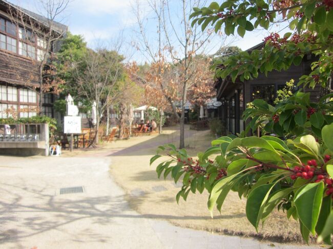 毎年年末は恒例の「和歌山・買い物ツアー」です。<br />一年の〆も含めて南紀へ心と体の癒しを求めて温泉ぶらぶら旅と決めてます。<br /><br />今年も宿泊先を値が張るばかりの白浜温泉ではなく、周辺の温泉を探しました。<br />昨年は日置川温泉・リバージュ・スパひきがわをチョイスして大正解でしたので今年もと思いましたが?…、折角なので他の温泉はないかと探したのが南部の山間の湯「鶴の湯温泉」。<br />本当に静かな環境の好い所でした。もちろんお湯も良かったです。<br /><br />で、今回はどうしても行きたかったのが旧上秋津小学校の跡地を利用した「秋津野ガルテン」。<br />昔の木造校舎と「農家レストランみかん畑」で頂くランチ。<br /><br />買い物は恒例の田辺のJA産直「紀菜柑」からスタートして、干物の「浜崎商店」・「紀州梅干館」・JA産直「南部のほんまもんふるさと産地直売所」・御坊の産直市場「よってって御坊店」に、今回ら新たにJA産直「きてら」・産直市場「」よってっていなり本館」・干物屋「もとや」・御坊のスーパーディスカウント「HIRO」を回って終了~。<br /><br />最後は御坊の「ポナペティ・ヤナギヤ」で美味しいランチを頂いて、ケーキとパンを買って帰ります。<br />今年も良い年を越せそうです~、合掌!。