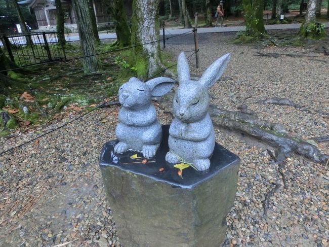 神様がお集まりの時期、神迎祭前の出雲大社にお参りに島根に行きました。<br />公共交通機関のみで松江近辺を巡り、効率的で充実した旅になりました。<br />3日間の行程の3日目です。<br /><br />一畑バス 玉造温泉9:24→松江しんじ湖温泉10:15<br />一畑電車 松江しんじ湖温泉10:41→出雲大社前11:42<br />一畑バス 正門前13:17→日御碕13:42(実際には15分程度遅れ)<br />一畑バス 日御碕14:20→出雲大社連絡所14:40<br />一畑電車 出雲大社前16:59→電鉄出雲市17:22<br />連絡バス 出雲市駅17:25→出雲空港17:55<br />JAL286便 出雲20:40→羽田21:44<br /><br />(1)https://4travel.jp/travelogue/11315817<br />(2)https://4travel.jp/travelogue/11315830<br />(3)https://4travel.jp/travelogue/11315840<br />(4)https://4travel.jp/travelogue/11315846<br />(5)https://4travel.jp/travelogue/11315848