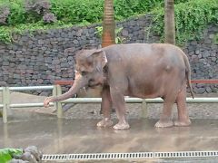 バリ島５日目～バリ動物園編～