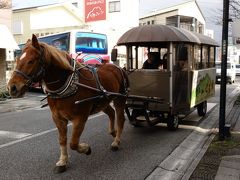 湯布院 名前に釣られて行ってみた 初見