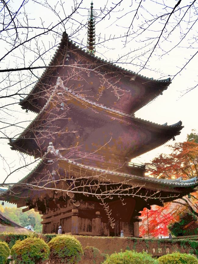 園城寺（おんじょうじ）は、滋賀県大津市園城寺町にある、天台寺門宗の総本山。山号を「長等山（ながらさん）」と称する。一般には「三井寺（みいでら）」として知られる。<br />「三井寺」の通称は、この寺に涌く霊泉が天智・天武・持統の3代の天皇の産湯として使われたことから「御井」（みい）の寺と言われていたものが転じて三井寺となったという。<br /><br />開基（創立者）は大友与多王、本尊は弥勒菩薩である。日本三不動の一である黄不動で著名な寺院で、観音堂は西国三十三所観音霊場の第14番札所である。また、近江八景の1つである「三井の晩鐘」でも知られる。歴史上の苦難を乗り越えてその都度再興されてきたことから、三井寺は「不死鳥の寺」と称されている。<br /><br />三井寺では一山を代表する僧のことを「長吏」（ちょうり）と呼んでいる。貞観元年（859年）、三井寺初代長吏に就任し、その後の発展の基礎を築いたのが、智証大師円珍である。貞観10年（868年）、円珍は天台宗最高の地位である天台座主に就任。以後、没するまでの24年間、その地位にあった。<br />秀吉の再興許可を受け、当時の三井寺長吏・道澄が中心となって寺の再興が進められた。現在の三井寺の寺観は、ほぼこの頃に整えられたものである。<br />1946年以降は天台寺門宗総本山となっている。<br /><br />大門（重文）－仁王門とも呼ばれる。入母屋造の楼門<br />釈迦堂（重文）－大門を入って金堂に至る道の右側にある。天正年間（16世紀末）造営の御所清涼殿を下賜され移築したものと伝える。<br />金堂（国宝）－三井寺再興を許可した豊臣秀吉の遺志により、高台院が慶長4年（1599年）に再建した。入母屋造、檜皮葺きの和様仏堂である。<br />鐘楼（重文）－金堂の左手前にあり、「三井の晩鐘」で知られる梵鐘を吊る。この梵鐘は慶長7年（1602年）の鋳造で、平等院鐘、神護寺鐘と共に日本三名鐘に数えられている。<br />閼伽井屋（あかいや、重文）－金堂の西に接して建つ小堂で、慶長5年（1600年）、金堂と同じく北政所によって建立された。堂内には三井寺の名の起こりとなった霊泉が湧出している。<br />一切経蔵（重文）－室町時代の建築。毛利輝元の寄進により、慶長7年（1602年）、山口市の国清寺の経蔵を移築したものという。輪蔵。<br />三重塔（重文）－鎌倉時代末期から室町時代初期の建築。慶長6年（1601年）、徳川家康が再度移築させたもの。<br />観音堂－寺域の南側、琵琶湖を望む高台に位置し、西国三十三所観音霊場の第14番札所として知られる。観音堂は元禄2年（1689年）に再建されたもの。<br />（フリー百科事典『ウィキペディア（Wikipedia）』より引用）<br /><br />三井寺　については・・<br />http://www.shiga-miidera.or.jp/<br />