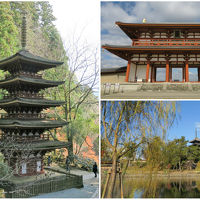 奈良　晩秋の紅葉狩り！郡山城跡/奈良国立博物館/長谷寺/室生寺