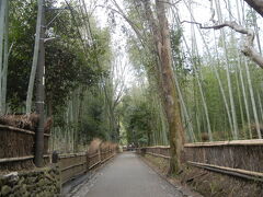 京都・神戸旅行① 竹林の道・渡月橋・天龍寺・龍安寺