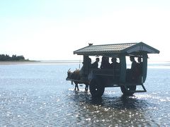 石垣島・竹富島・西表島で過ごす休日