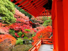 やはり混雑していた紅葉の京都 4
