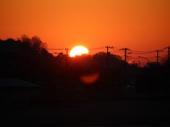 2018年1月1日：毎年恒例　武蔵野の森公園で初日の出＆貫井神社に初詣