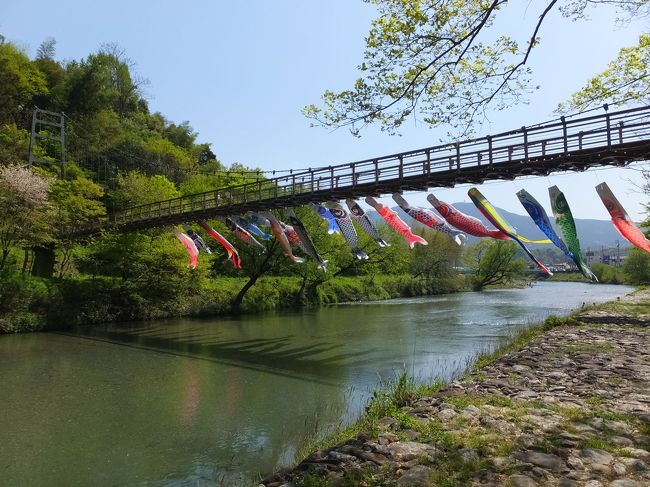 JALの「どこかにマイル」の広告を見て６０００マイルを貯めて挑戦。松山になりました。<br />２０年ぶりの訪問です。松山の街はどう変わってるかなあ。<br />さて、どこかにマイル自体１ヶ月以内の旅行日しか選択できないので準備に時間はかけられません。<br />あわててガイドブック買って地理を頭にたたきこみ、訪問したいとこを選び、時刻表を駆使して計画を練ります。<br />訪問地は内子・大洲・松山に絞り、温泉を１泊入れて、今年で長期休業に入る道後温泉本館に入って、と。<br />行ってみるとどこか懐かしさが印象に残る旅になり大満足。<br />旅行はきっかけは何であってもいくらでも楽しめますね。<br />さて、いつものように会社終了後に最終便で松山入り。それは０日目として、１日目は時刻表に載っていた「内子・大洲町並散策1日パス」を使っての街歩きです。<br />前半は内子町の街歩きです。レンタサイクルやバスもあるのですがこれくらいの規模の街なら歩きで十分。いろんな見どころが詰まった街でした。表紙写真は街はずれの「内子フレッシュパークからり」横の小田川に泳ぐ鯉のぼり。気持ちのいい眺めでした。<br />