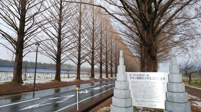 毎年恒例となりつつある年始の旅。<br /><br />今年は木之本の宿に泊まって、翌日余呉湖～高島をドライブして来ました。<br /><br />宿：木之本 己高庵