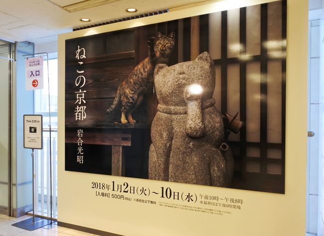 明けましておめでとうございます。<br />旧年中は投票やメッセージをいただきありがとうございました。<br />今年もよろしくお願い致しますm(_ _)m<br /><br />今年の初投稿は、旅行記とは言えませんが、<br />そごうにクリスマスケーキを取りに行った時にこのイベントの事を知りました。<br />年明け早々、猫+京都+岩合さんだなんてお年玉みたいなものだと思い出かけることにしました。<br />展示場内は撮影禁止ですし、当初旅行記に投稿する気もなかったので、写真は充分撮れていませんが、よろしかったらご覧ください。<br />