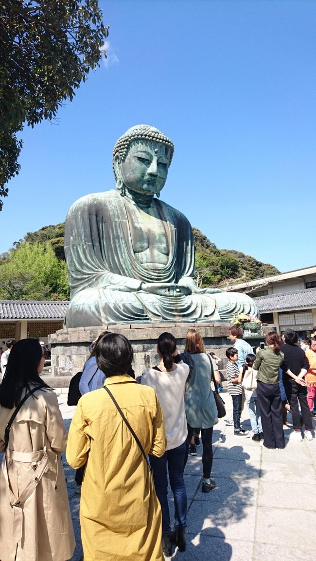 私は今は東京に住んでいますが、この旅行時は神奈川県藤沢市に住んでいました。<br />ですが実は鎌倉に行ったことがありませんでした。<br />なので、引っ越す前に近場ということで日帰りで行ってみることにしました