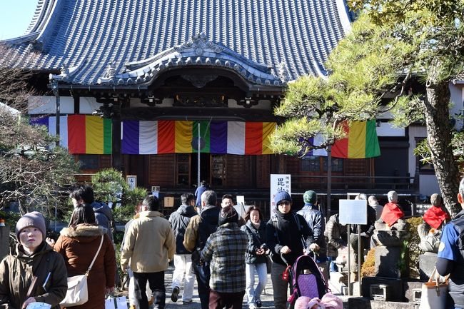 毎年お正月二日は七福神めぐりに出かけています。今年はNHK朝ドラ「ひよっこ」で向島電機として向島周辺が物語の設定上登場するので、向島七福神（墨田七福神とも呼ばれています）に出かけました。<br />社寺はすべて墨田区内にあって、江戸時代の文化年間（1804～1818年ごろ）に向島百花園に集う文人によってはじめられたとされています。今年で向島七福神発祥200年にあたるそうです。向島といえば料亭街だったところで、今でも料亭が何軒もあり芸妓さんがいる風流な歴史があります。<br />今回は荒川の土手の脇にある東武スカイツリーラインの堀切駅を出て<br />多聞寺→白髭神社（和太鼓の演奏を鑑賞）→向島百花園（お正月の草花を鑑賞）→長命寺（草餅）→弘福寺（せき止め飴）→三囲神社→ソラマチを経由→都営浅草線押上駅<br />約6キロほどの行程を休憩時間込みで3時間ほどで歩きました。以前は七福神のパンフレットに付いている絵地図で迷いながら歩いたものですが、今回は元々案内看板が数多く設置されているうえに、スマホの地図アプリとGPS機能で現在位置を確認しながら歩いたので迷うことなく距離感もしっかり把握できて安心して歩くことが出来ました。