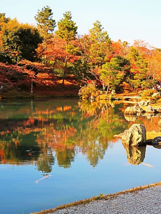 京都-11　天龍寺2/2：曹源池を囲む池泉回遊式庭園　☆紅葉は彩り鮮やかに