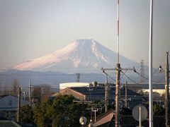 正月に相応しい富士山を見ながらリハビリ早朝ウォーキング