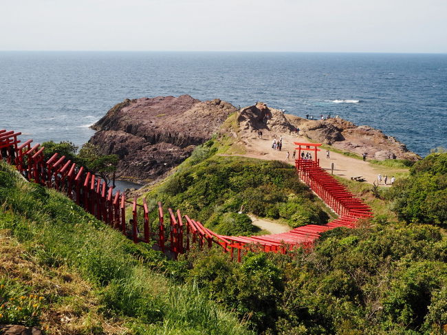 角島観光を終え、次の目的地である『元乃隅稲成神社』に向かいました。<br /><br />海岸まで続く赤い鳥居が魅力の『元乃隅稲成神社』に、前々から行ってみたいと思っていました。<br /><br />ただ、角島から元乃隅稲成神社までは結構遠かったです。<br /><br /><br /><br />