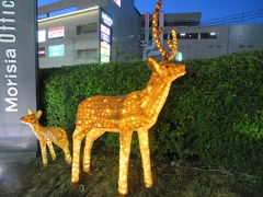 津田沼駅周辺のショッピングエリアを歩く