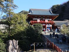 新年は鎌倉鶴岡八幡宮参拝から。その後は白旗神社、明王院、光触寺を参拝し金沢八景の瀬戸神社まで。