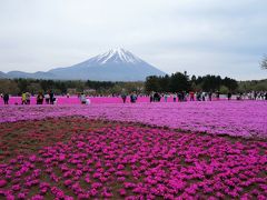 河口湖＆富士芝桜まつり