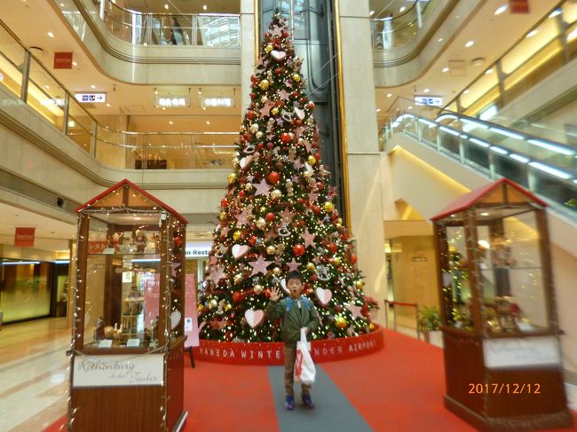 初東京の孫は四日間の楽しい旅行を終えて福岡へ帰宅の途につきました。<br />羽田空港でお土産を購入してJALラウンジで休憩し搭乗待ちをしました。<br />飛行機に乗って窓から外の景色を孫が撮影しました、残念ながら富士山の見える側の席ではなくて<br />アルプスの景色などを撮影しました。<br />無事に旅を終えてパパ・ママの待つお家へ無事に戻りました。<br />これにて孫の初東京、四日間を終了します。<br />お付き合いをしていただき有難うございました。