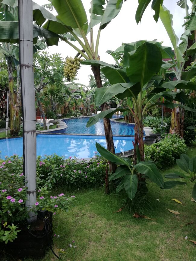 2017 年末 The Janan villa