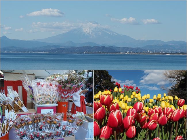新年明けましておめでとうございます。<br />正月３が日は、箱根駅伝のテレビ観戦もあり、ちょっと運動不足気味。<br />何処かへ出掛けようと思っていたところ、テレビの天気予報で富士山が見えていたので、江の島に初詣に行くことにしました。<br />混雑は覚悟して出掛けましたが、比較的順調にお詣りすることが出来ました。<br />少し雲は掛かっていましたが初富士と、初チューリップ（ウインターチューリップ）も楽しめました。<br /><br />2018年は、旅行記1,000冊を目指したいと思っていますので、引き続き宜しくお願いします。