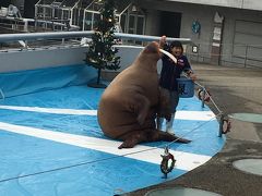 別府温泉、神和苑に宿泊し、うみたまごへ行ってみました(^_-)