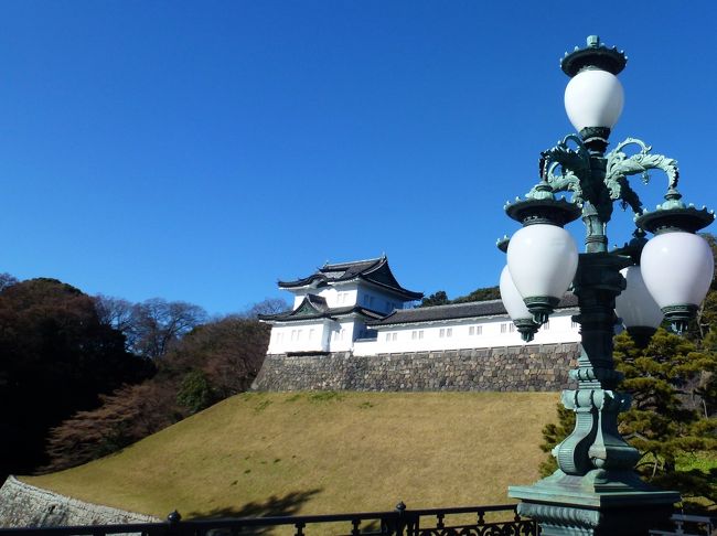 新年は地元善光寺の初詣ですら混む時間帯を避けて行き<br />皇居一般参賀のあの人混みに地方からわざわざ行く事もないよね～<br />といつもテレビを見ていましたが・・・<br /><br />「平成終わっちゃうんだね～」と言う事から始まり<br />「秋にご結婚の眞子様のお出ましも最後かな？」と<br />何だか皇居の「新年一般参賀」に行きたくなり<br />新年早々のお出掛けとなりました<br /><br />先ずは元旦に恒例の善光寺への初詣を済ませ<br />２日朝、東京へ向かって車で出発<br /><br />お出ましは５回<br />10時10分からの１回目はいろいろな面で無理と判断<br />残りの４回のいずれかに入場できればという気持ちで行きました<br /><br />天気も良く、待ち時間などもそんなに大変ではなかったのですが<br />初めての事ゆえ反省点は多々あります・・・<br />しかし、多分、最初で最後（＾＾；）<br /><br />いつものお台場で１泊して<br />翌日は毎年、仕事の為に帰省しない長男に<br />少しでもお正月気分を・・・と長男のアパートへ<br />「新年大掃除」の後、お雑煮を作ってあげました<br />それが出来ただけでも行って良かったと思います