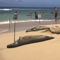 ハワイの楽園カウアイ島旅行記（2）