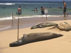 ハワイの楽園カウアイ島旅行記（2）