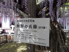 磐田の旅行記