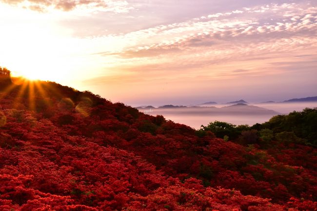 奈良は近いのでそんなに旅行記を書く程の量が無いのですが、なかなか見れない絶景に何度か出会えたので2017年に奈良で出会った風景を総編集致しました。