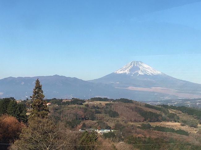 旅行と申しましても我が家の場合、お山にある別の家でして。<br />年末年始を通して１9日間滞在していました。<br />自宅の温泉に毎朝＆毎夜入って英気を養っています。<br /><br />源頼朝が流された蛭ｹ小島に行ったり、苺狩りしたり。<br />近所には、ハーフコースのゴルフ場があるので、<br />そこで家族４人でお遊びでゴルフ（？）を。<br />数年前に世界遺産登録された韮山反射炉も見学。<br />箱根にも行って、芦ノ湖の箱根港にある茶屋本陣　畔屋でも<br />お茶したりお買い物したり。<br /><br />熱海駅周辺でも初川というお寿司屋さんやうな重と言ううなぎ屋さんで<br />美味しく食事を。<br />後、熱海プリンの温泉玉子プリンが絶品でしたね。<br />でも、このお店はいつも行列を成していて、午前中で売り切り必死。<br /><br />五月みどりさんのお店でも大好きなお洋服達も購入。<br /><br />こうして毎日のようによく遊び＆よく食しました。<br />