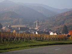 美食とワインの香り、アルザスブルゴーニュその２　ワイン街道のかわいすぎる村、リクヴィル、コルマール、ブルゴーニュの中心ボーヌ、コートドールの丘をめぐりロマネコンティの畑を訪れる
