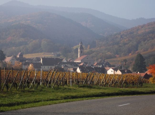 美食とワインの香り、アルザスブルゴーニュその２　ワイン街道のかわいすぎる村、リクヴィル、コルマール、ブルゴーニュの中心ボーヌ、コートドールの丘をめぐりロマネコンティの畑を訪れる